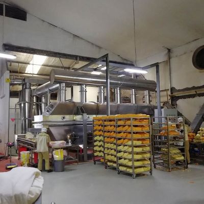 450V横の振動流動床の乾燥した化学薬品の薬剤の乾燥装置