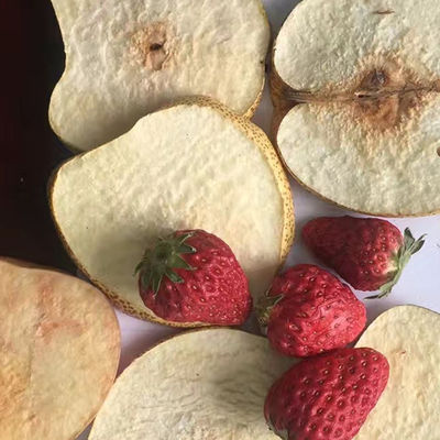 ヨーグルトのいちごのパラミツの真空の凍結乾燥器PLCのポテト チップの乾燥機械